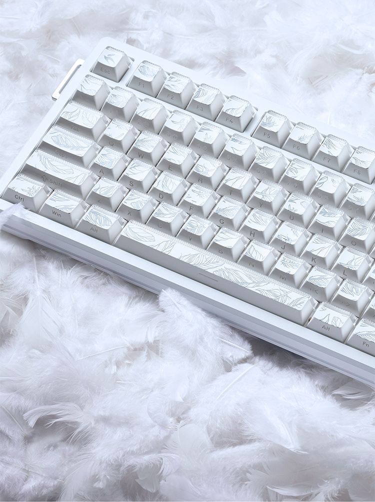Feather Pattern 97 Keycaps Che - Gaming Keyboard Tkl recension och pris
